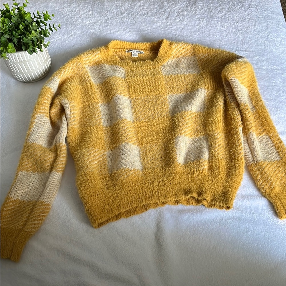 Moral Fiber ||  Yellow Crew Neck Sweater with Modern Cropped Fit